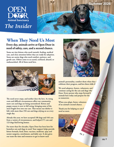 2026 Summer Newsletter